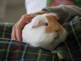 2020-01-04-3654 Jess.jpg